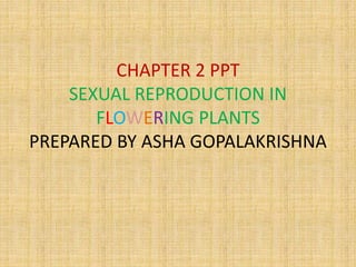 CHAPTER 2 PPT
SEXUAL REPRODUCTION IN
FLOWERING PLANTS
PREPARED BY ASHA GOPALAKRISHNA
 