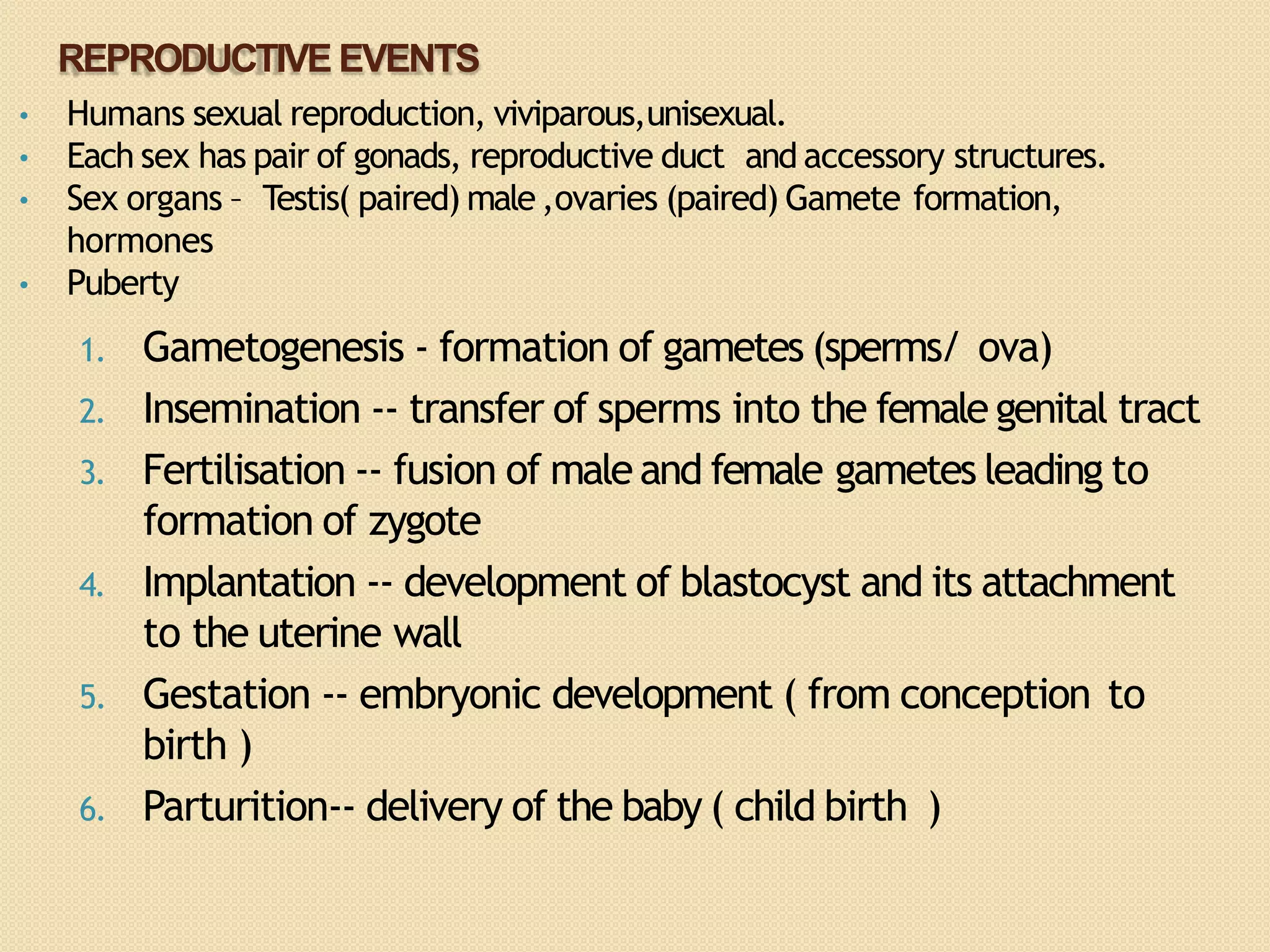 Class 12 biology human reproductive | PPTX