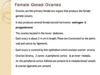 Female Gonad: Ovaries
Ovaries are the primary femalesex organs thatproduce the female
gamete (ovum).
It also produces seve...