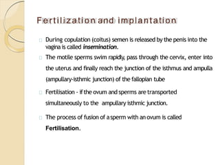 Fusion o f Sperm and ovum
 