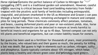 Horse manure contains the perfect balance of Carbon to Nitrogen for
composting (30:1) and is a traditional garden soil amendment. However, careful
organic sourcing is critical because feed (and bedding materials) from fields
treated with the picolinic acid family of herbicides including aminopyralid,
clopyralid, and picloram (marketed in the US as Milestone and Grazon-) can pass
through a horse’s digestive tract, remaining unchanged in manure and compost
piles for long periods. These chemicals commonly affect potatoes, tomatoes,
and beans, causing deformed plants and poor or non-existent yields. Also, horse
de-wormers like Ivermectin can be detected in manure at levels harmful to
beneficial insects and organisms for up to 45 days. Tainted compost can not only
kill plants and beneficial organisms, but can create liability issues for owners.
Bat guano has been used as a fertilizer for thousands of years, most prominently
by the Incans, who valued bats and their guano so much, the penalty for killing
a bat was death. Bat guano is high in elements such as carbon, nitrogen, sulfur,
and phosphorus. Guano typically contains about 10% nitrogen, which helps
plants keep a healthy and vibrant green color and promotes rapid growth.
 
