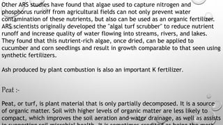 Other ARS studies have found that algae used to capture nitrogen and
phosphorus runoff from agricultural fields can not only prevent water
contamination of these nutrients, but also can be used as an organic fertilizer.
ARS scientists originally developed the "algal turf scrubber" to reduce nutrient
runoff and increase quality of water flowing into streams, rivers, and lakes.
They found that this nutrient-rich algae, once dried, can be applied to
cucumber and corn seedlings and result in growth comparable to that seen using
synthetic fertilizers.
Ash produced by plant combustion is also an important K fertilizer.
Peat :-
Peat, or turf, is plant material that is only partially decomposed. It is a source
of organic matter. Soil with higher levels of organic matter are less likely to
compact, which improves the soil aeration and water drainage, as well as assists
 