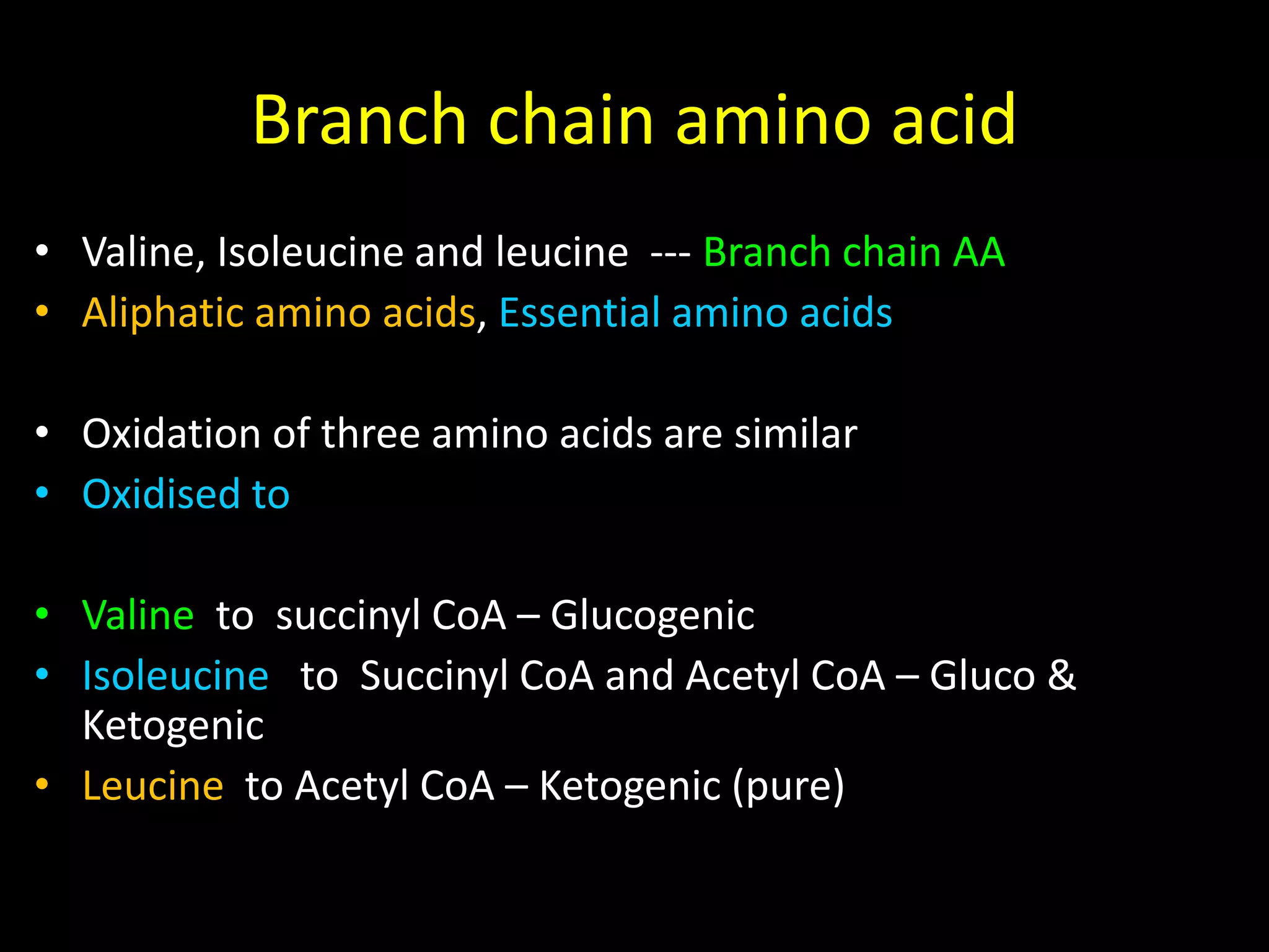 Branch chain Amino Acid Metabolism | PPTX