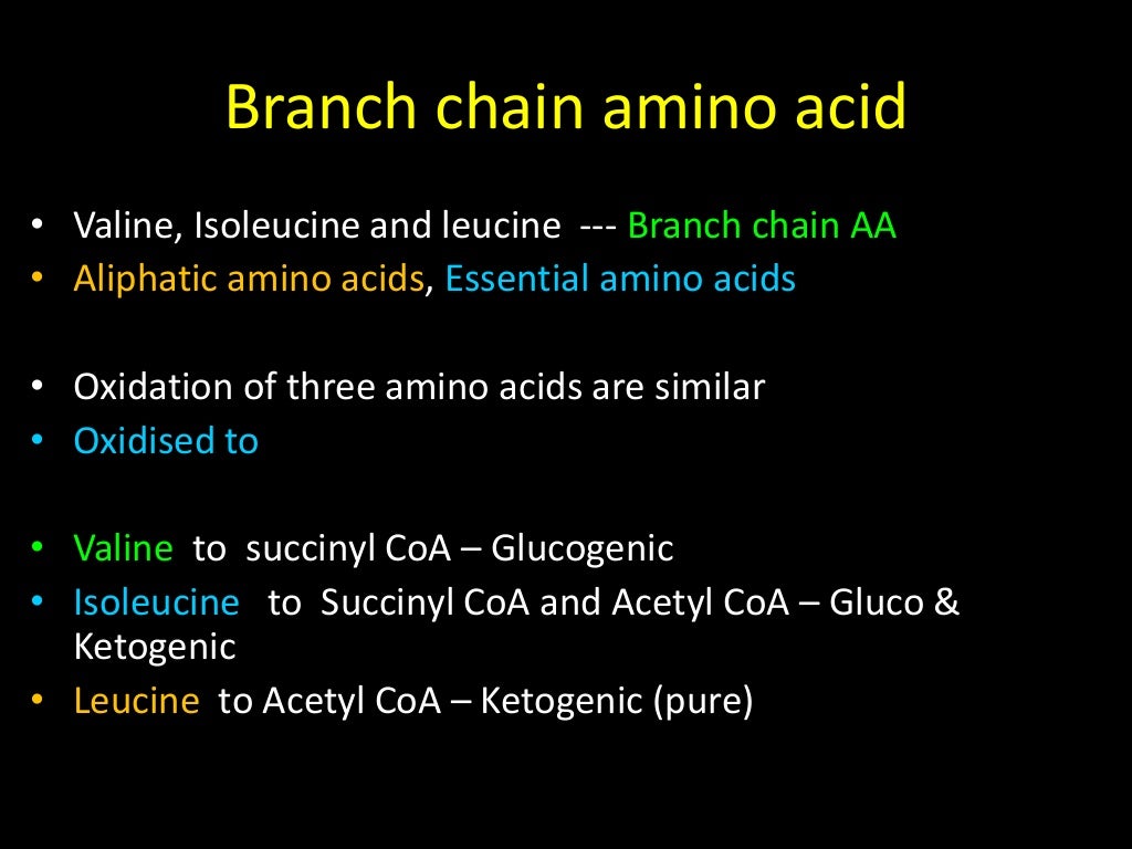 Branch chain Amino Acid Metabolism