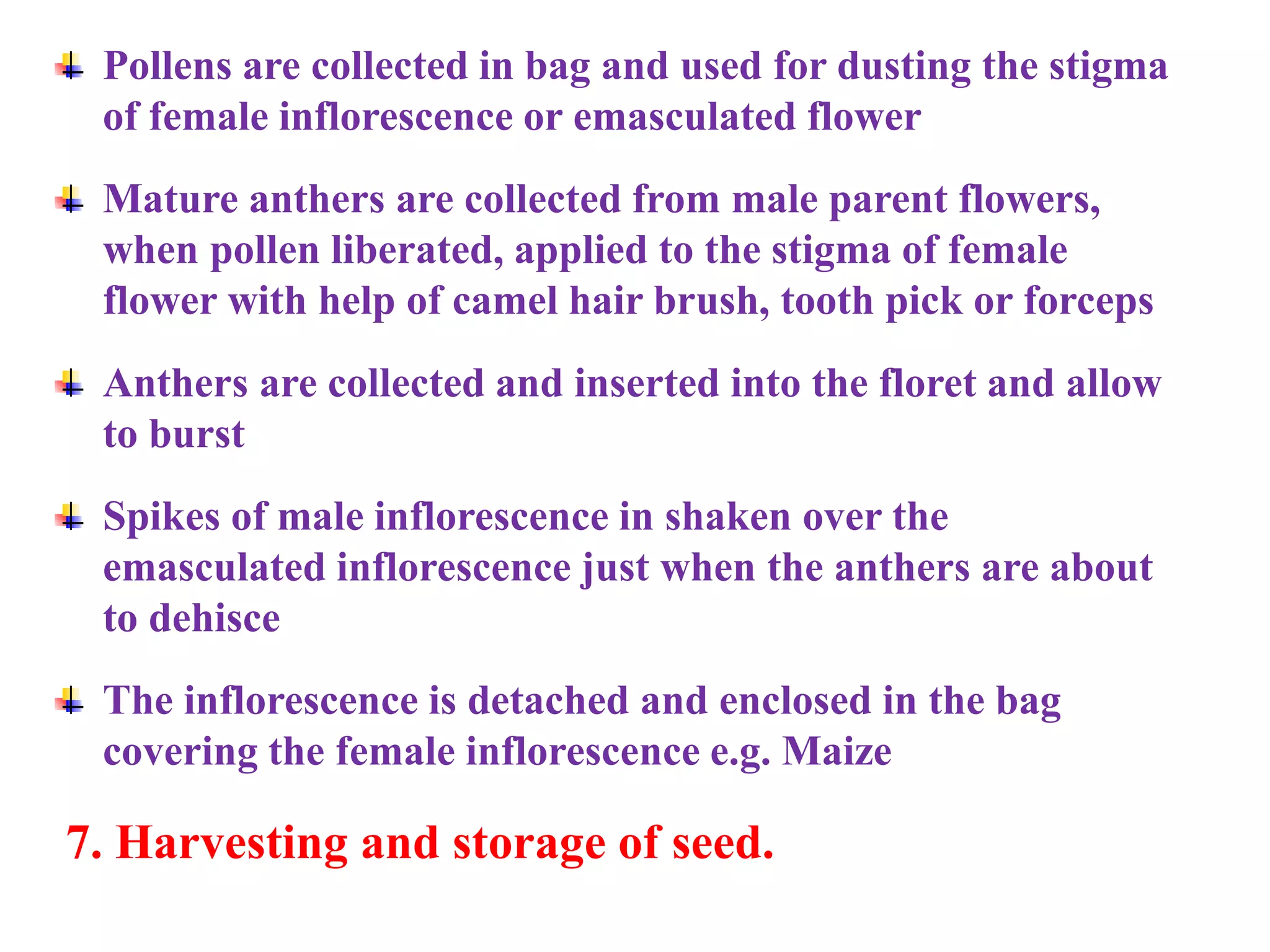 Pollens are collected in bag and used for dusting the stigma
of female inflorescence or emasculated flower
Mature anthers are collected from male parent flowers,
when pollen liberated, applied to the stigma of female
flower with help of camel hair brush, tooth pick or forceps
Anthers are collected and inserted into the floret and allow
to burst
Spikes of male inflorescence in shaken over the
emasculated inflorescence just when the anthers are about
to dehisce
The inflorescence is detached and enclosed in the bag
covering the female inflorescence e.g. Maize
7. Harvesting and storage of seed.
 