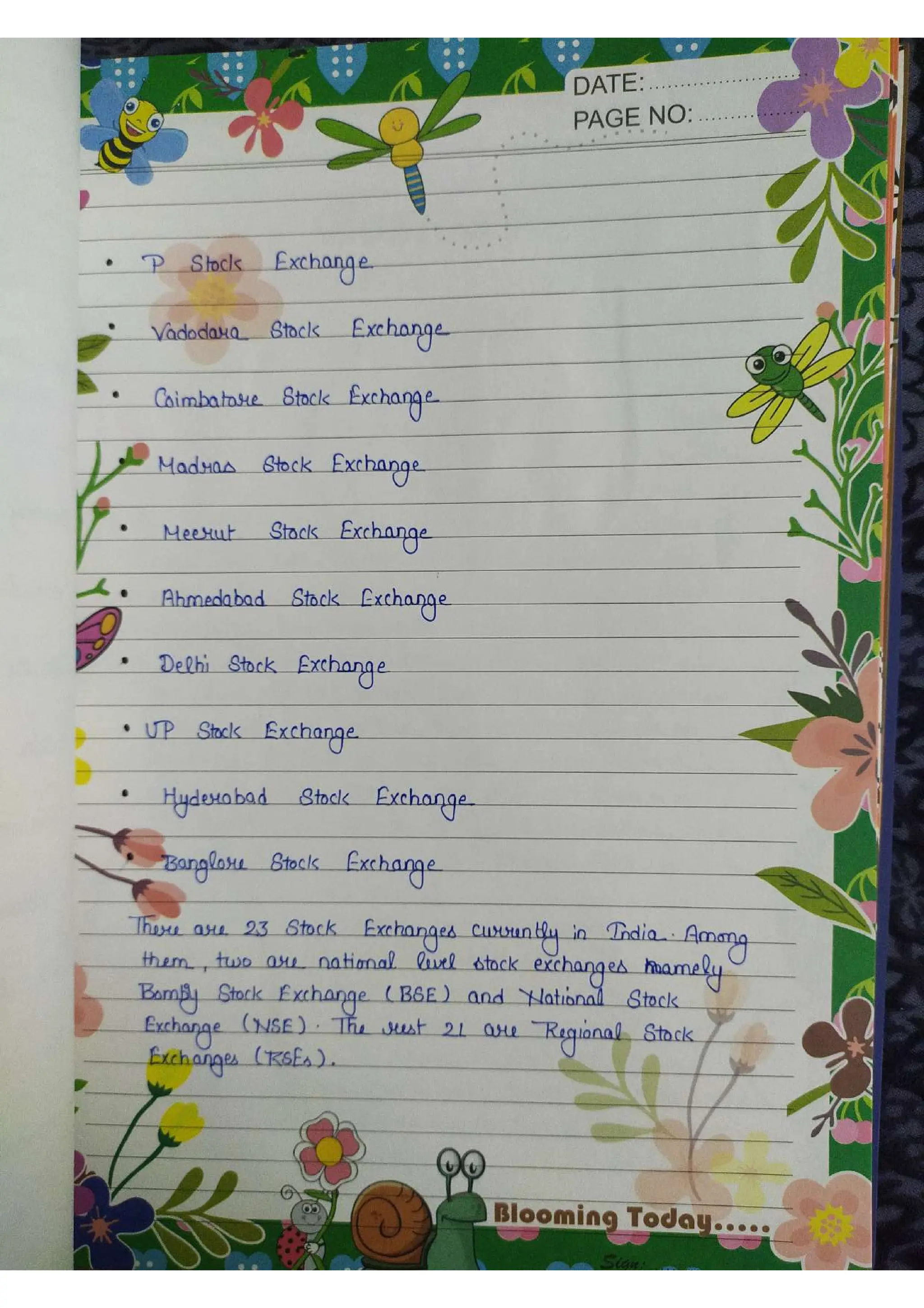 Business Studies  Project File  on Stock Exchange.pdf