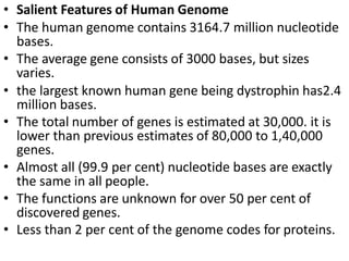 • Salient Features of Human Genome
• The human genome contains 3164.7 million nucleotide
bases.
• The average gene consists of 3000 bases, but sizes
varies.
• the largest known human gene being dystrophin has2.4
million bases.
• The total number of genes is estimated at 30,000. it is
lower than previous estimates of 80,000 to 1,40,000
genes.
• Almost all (99.9 per cent) nucleotide bases are exactly
the same in all people.
• The functions are unknown for over 50 per cent of
discovered genes.
• Less than 2 per cent of the genome codes for proteins.
 