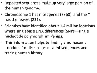 • Repeated sequences make up very large portion of
the human genome.
• Chromosome 1 has most genes (2968), and the Y
has the fewest (231).
• Scientists have identified about 1.4 million locations
where singlebase DNA differences (SNPs – single
nucleotide polymorphism -‘snips.
• This information helps to finding chromosomal
locations for disease-associated sequences and
tracing human history.
 