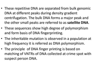 • These repetitive DNA are separated from bulk genomic
DNA at different peaks during density gradient
centrifugation. The bulk DNA forms a major peak and
the other small peaks are referred to as satellite DNA.
• These sequences show high degree of polymorphism
and form basis of DNA fingerprinting.
• The inheritable mutation is observed in a population at
high frequency it is referred as DNA polymorphism.
• The principle of DNA finger printing is based on
matching of VNTRs of DNA collected at crime spot with
suspect person DNA.
 
