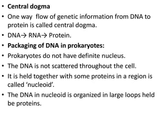 • Central dogma
• One way flow of genetic information from DNA to
protein is called central dogma.
• DNA→ RNA→ Protein.
• Packaging of DNA in prokaryotes:
• Prokaryotes do not have definite nucleus.
• The DNA is not scattered throughout the cell.
• It is held together with some proteins in a region is
called ‘nucleoid’.
• The DNA in nucleoid is organized in large loops held
be proteins.
 