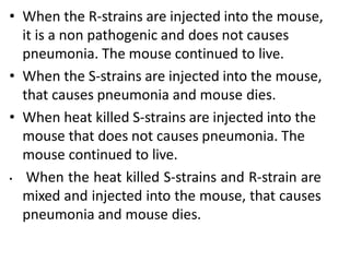 • When the R-strains are injected into the mouse,
it is a non pathogenic and does not causes
pneumonia. The mouse continued to live.
• When the S-strains are injected into the mouse,
that causes pneumonia and mouse dies.
• When heat killed S-strains are injected into the
mouse that does not causes pneumonia. The
mouse continued to live.
• When the heat killed S-strains and R-strain are
mixed and injected into the mouse, that causes
pneumonia and mouse dies.
 