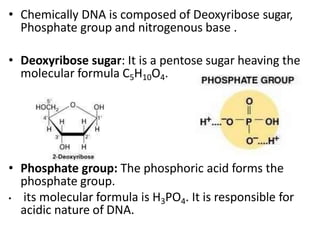 • Chemically DNA is composed of Deoxyribose sugar,
Phosphate group and nitrogenous base .
• Deoxyribose sugar: It is a pentose sugar heaving the
molecular formula C5H10O4.
• Phosphate group: The phosphoric acid forms the
phosphate group.
• its molecular formula is H3PO4. It is responsible for
acidic nature of DNA.
 