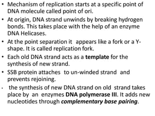 • Mechanism of replication starts at a specific point of
DNA molecule called point of ori.
• At origin, DNA strand unwinds by breaking hydrogen
bonds. This takes place with the help of an enzyme
DNA Helicases.
• At the point separation it appears like a fork or a Y-
shape. It is called replication fork.
• Each old DNA strand acts as a template for the
synthesis of new strand.
• SSB protein attaches to un-winded strand and
prevents rejoining.
• the synthesis of new DNA strand on old strand takes
place by an enzymes DNA polymerase III. It adds new
nucleotides through complementary base pairing.
 