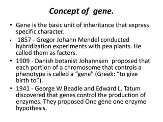 Concept of gene.
• Gene is the basic unit of inheritance that express
specific character.
• 1857 - Gregor Johann Mendel conducted
hybridization experiments with pea plants. He
called them as factors.
• 1909 - Danish botanist Johannsen proposed that
each portion of a chromosome that controls a
phenotype is called a “gene” (Greek: “to give
birth to”).
• 1941 - George W.Beadle and Edward L. Tatum
discovered that genes control the production of
enzymes. They proposed One gene one enzyme
hypothesis.
 