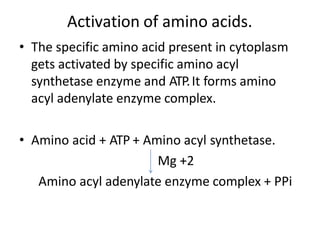 Activation of amino acids.
• The specific amino acid present in cytoplasm
gets activated by specific amino acyl
synthetase enzyme and ATP.It forms amino
acyl adenylate enzyme complex.
• Amino acid + ATP + Amino acyl synthetase.
Mg +2
Amino acyl adenylate enzyme complex + PPi
 