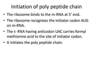 Initiation of poly peptide chain
• The ribosome binds to the m-RNA at 5’ end.
• The ribosome recognizes the initiator codon AUG
on m-RNA.
• The t- RNA having anticodon UAC carries formyl
methionine acid to the site of initiator codon.
• It initiates the poly peptide chain.
 