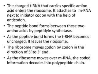• The charged t-RNA that carries specific amino
acid enters the ribosome. It attaches to m-RNA
next to initiator codon with the help of
anticodon.
• The peptide bond forms between these two
amino acids by peptidyle synthetase.
• As the peptide bond forms the t-RNA becomes
uncharged. It leaves the ribosome.
• The ribosome moves codon by codon in the
direction of 5’ to 3’ end.
• As the ribosome moves over m-RNA, the coded
information decodes into polypeptide chain.
 