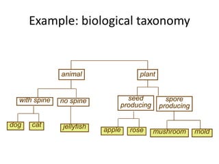Example: biological taxonomy
 