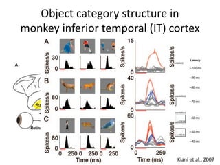 Kiani et al., 2007
Object category structure in
monkey inferior temporal (IT) cortex
 