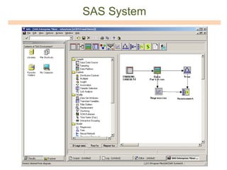 SAS System 