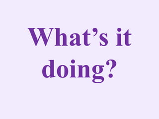 What’s it
doing?
 