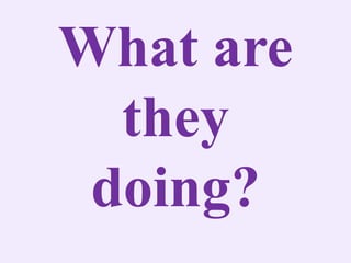 What are
they
doing?
 