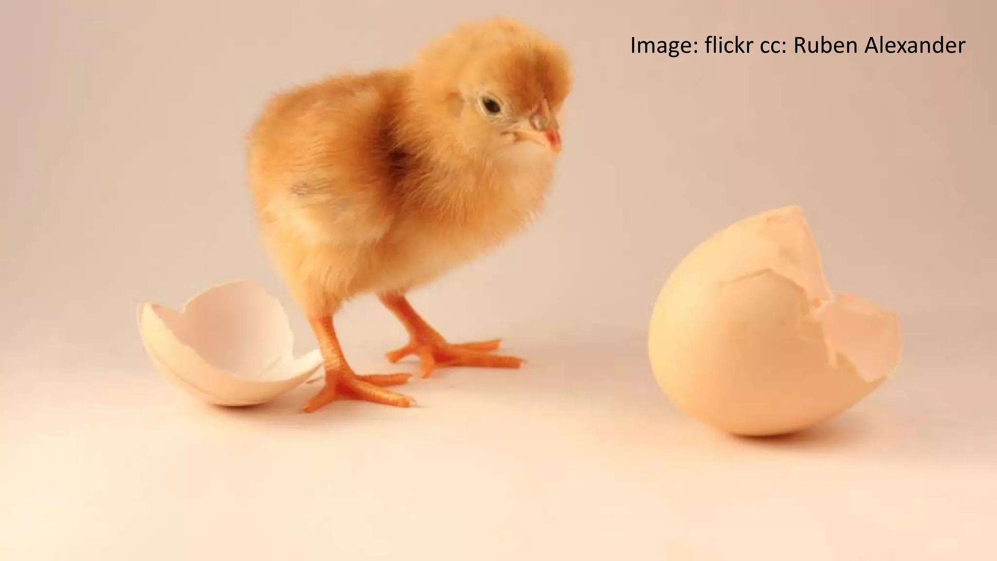 27 Image: flickr cc: Ruben Alexander 