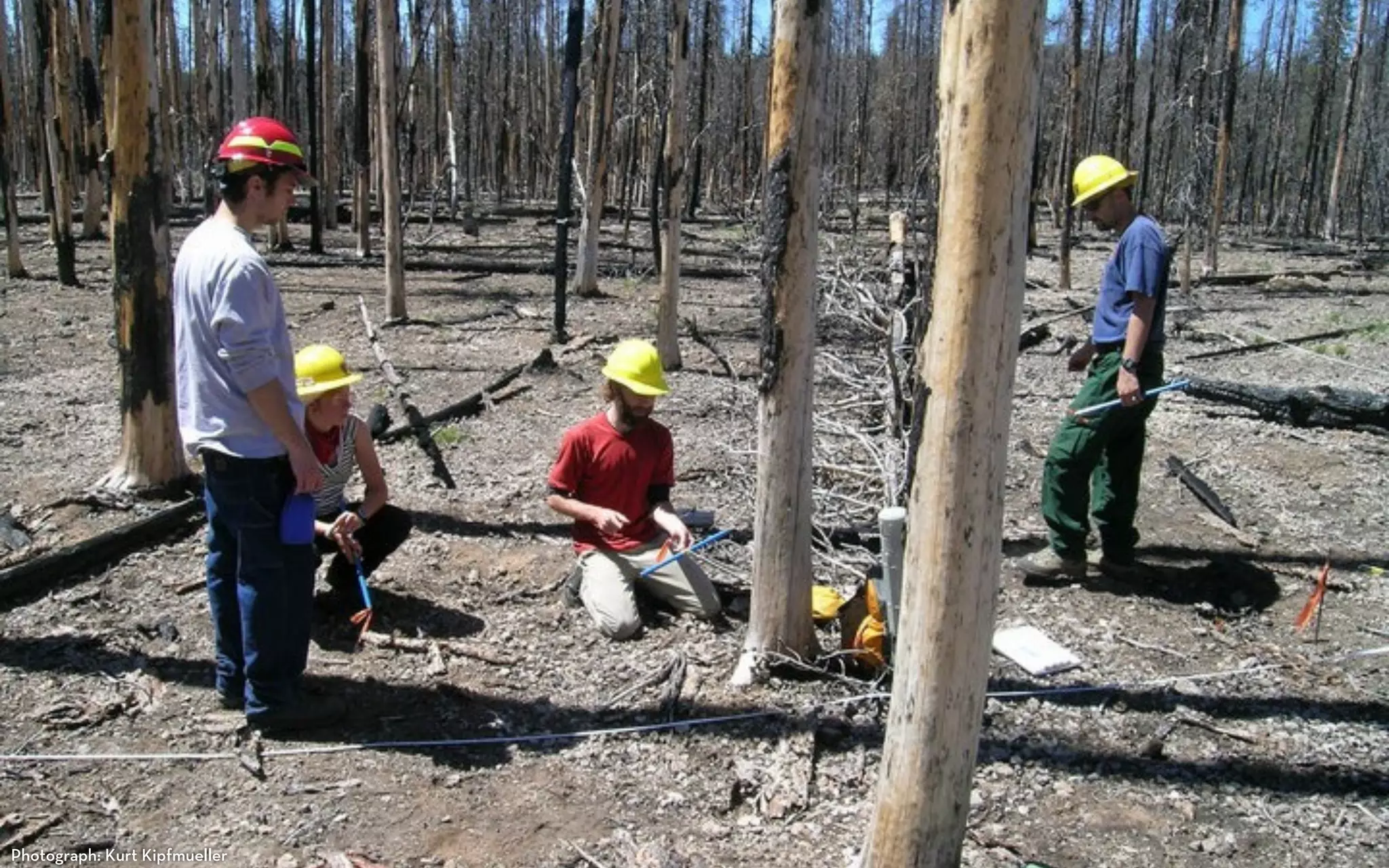 Photograph: Kurt Kipfmueller
 