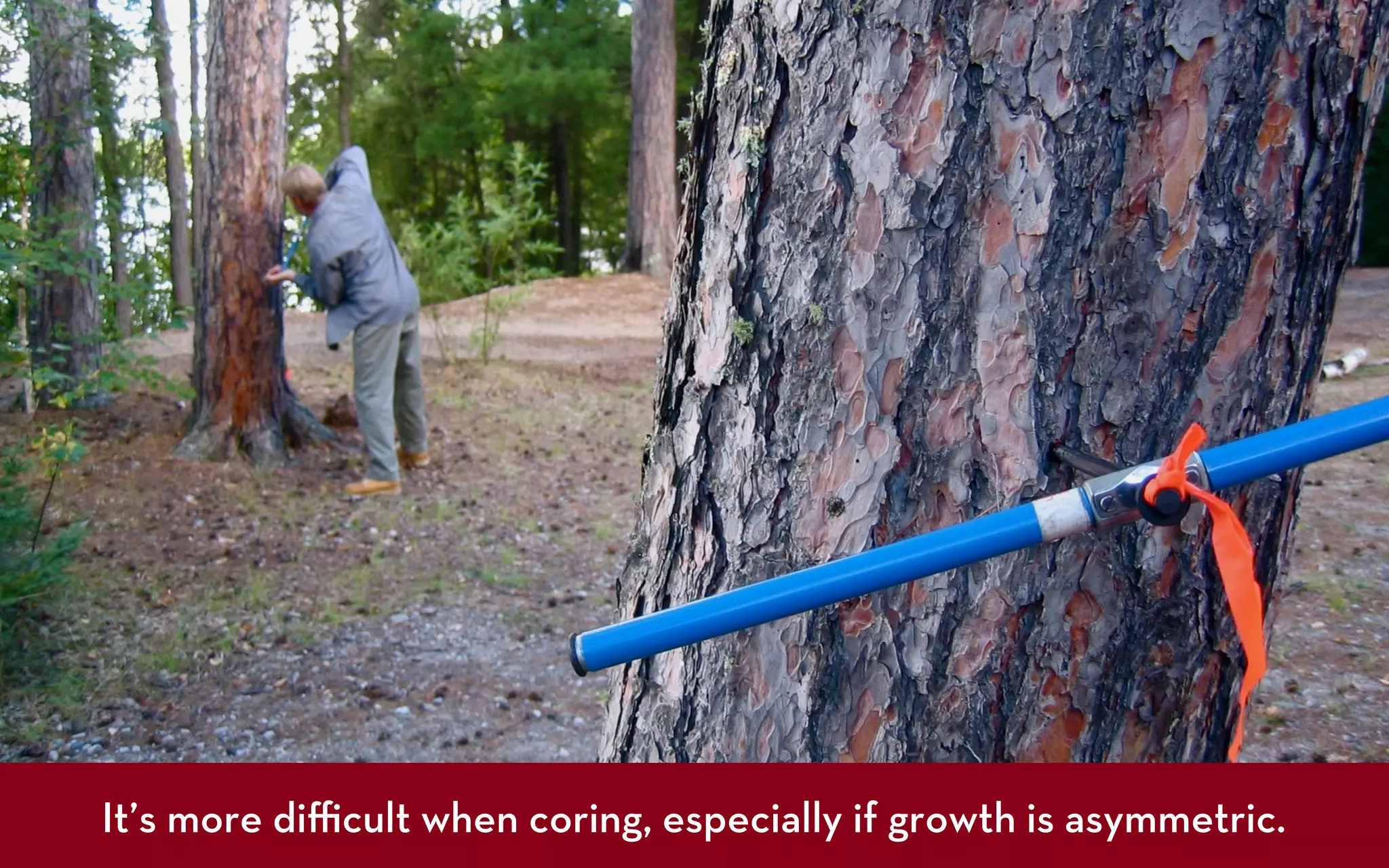 It’s more diﬃcult when coring, especially if growth is asymmetric.
 