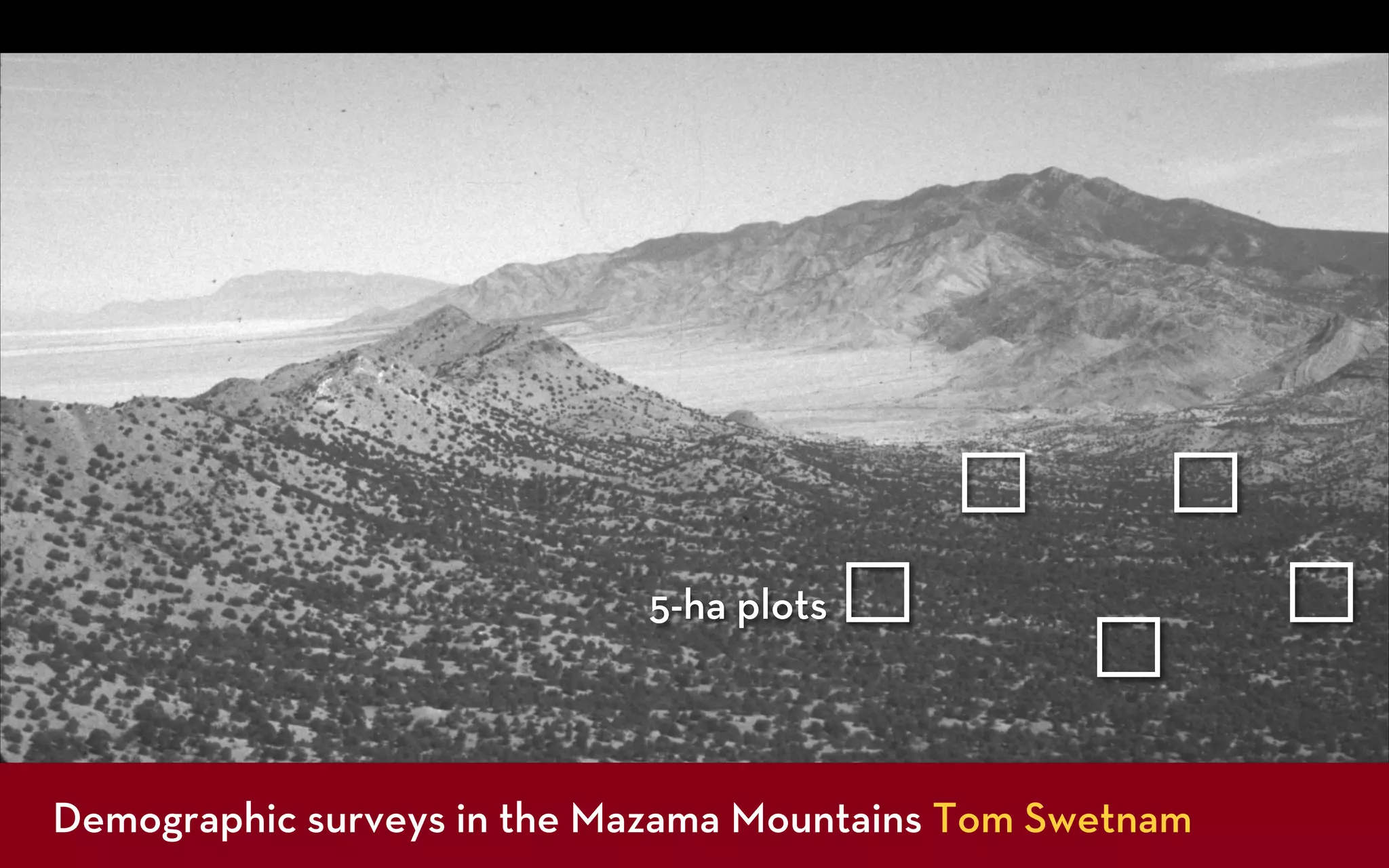 5-ha plots



Demographic surveys in the Mazama Mountains Tom Swetnam
 