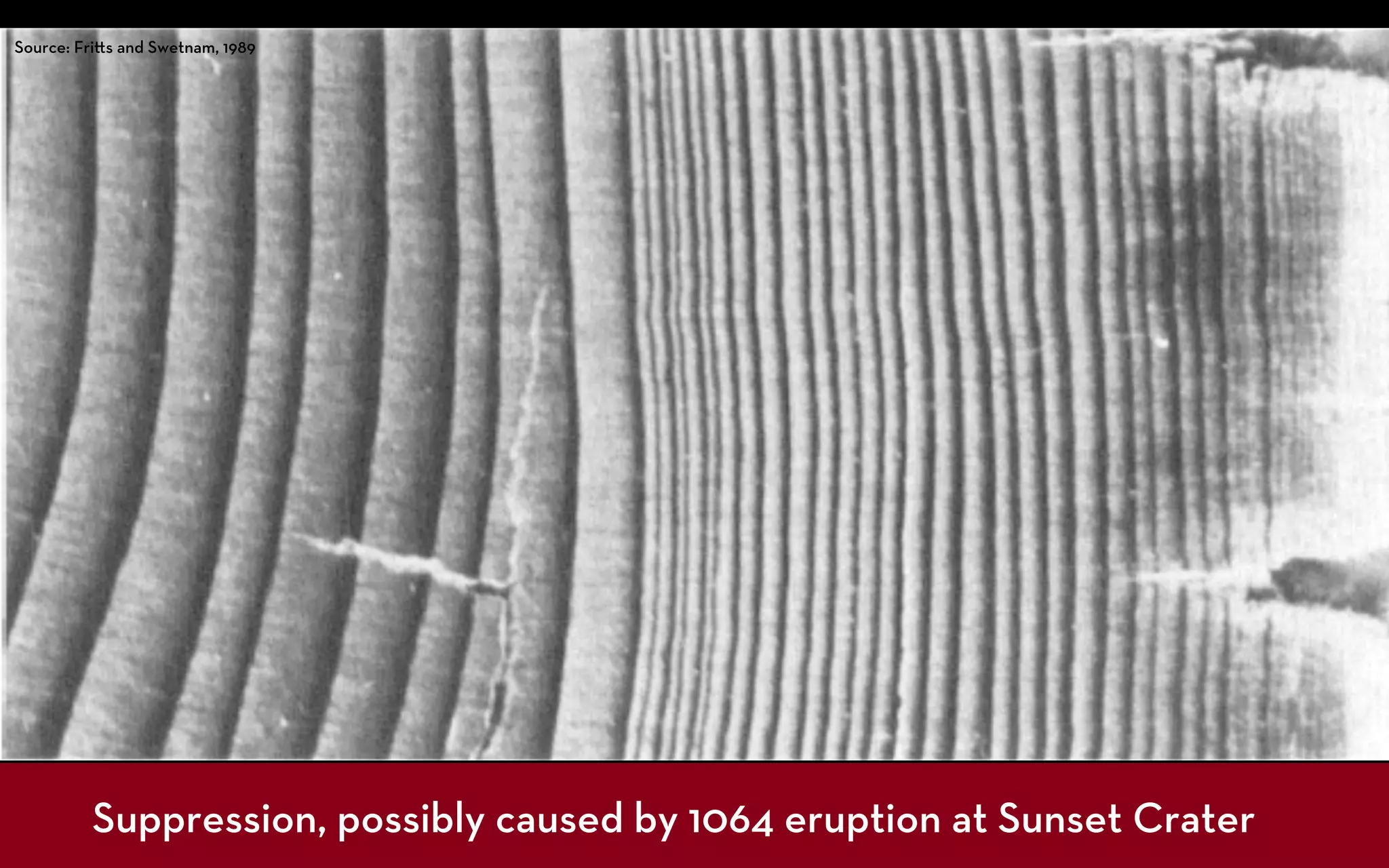 Source: Fri s and Swetnam, 1989




         Suppression, possibly caused by 1064 eruption at Sunset Crater
 