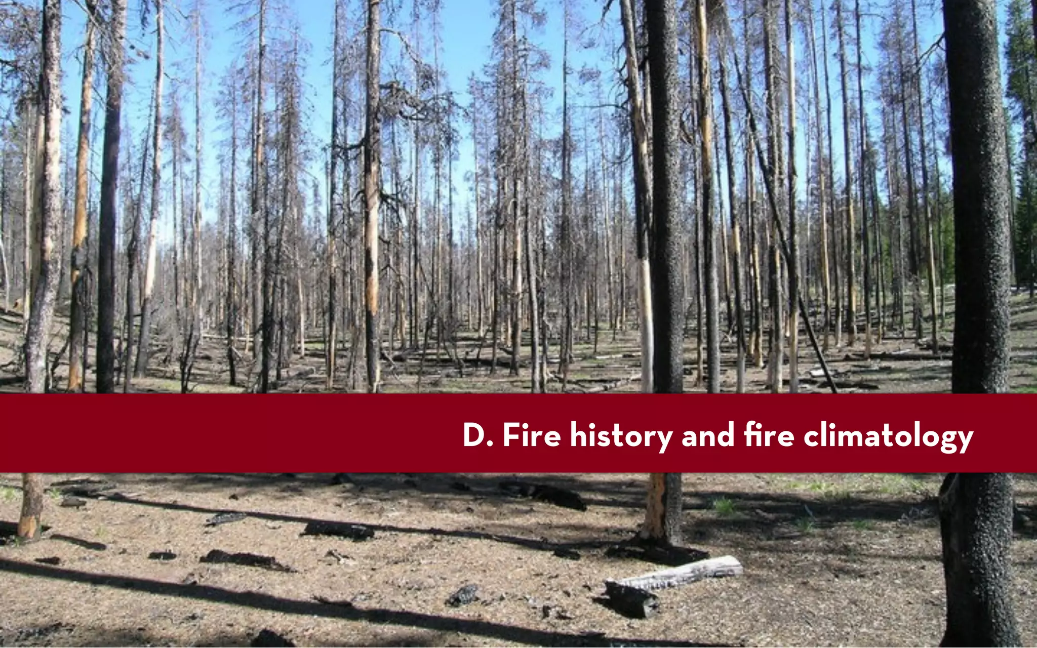 D. Fire history and ﬁre climatology
 