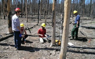 Photograph: Kurt Kipfmueller
 