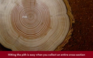 Pith




Hi ing the pith is easy when you collect an entire cross-section
 