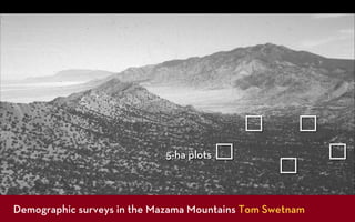 5-ha plots



Demographic surveys in the Mazama Mountains Tom Swetnam
 