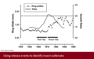 Source: Berg et al. (2006)



     Using release events to identify insect outbreaks
 