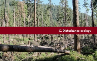 C. Disturbance ecology




Photograph: Miguel Vieira
 