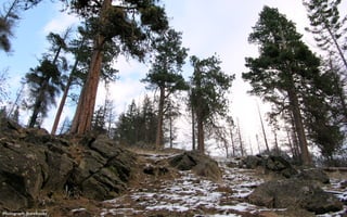 Photograph: Brewbooks
 