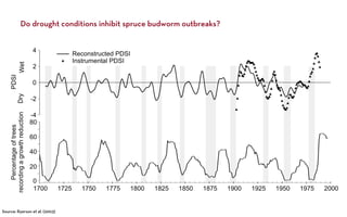 Do drought conditions inhibit spruce budworm outbreaks?




Source: Ryerson et al. (2003)
 
