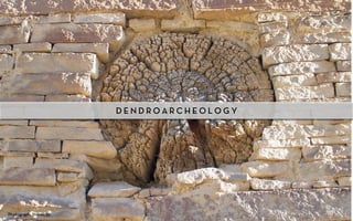 DENDROARCHEOLOGY




Photograph: Stones 55
 
