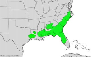 h p://esp.cr.usgs.gov/data/atlas/li le/
 