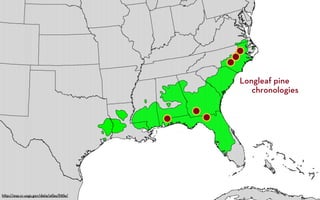 Longleaf pine
                                             chronologies




h p://esp.cr.usgs.gov/data/atlas/li le/
 
