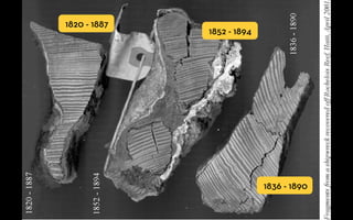 1820 - 1887
              1852 - 1894




                            1836 - 1890
 