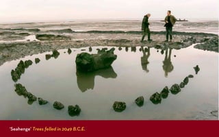 ‘Seahenge’ Trees felled in 2049 B.C.E.
 