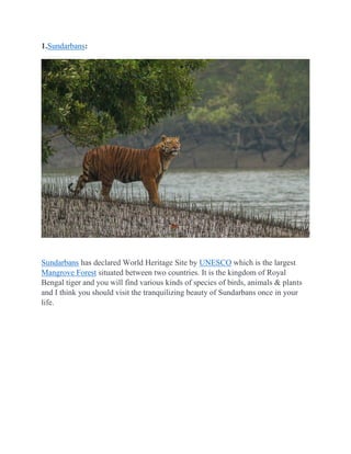 1.Sundarbans:
Sundarbans has declared World Heritage Site by UNESCO which is the largest
Mangrove Forest situated between two countries. It is the kingdom of Royal
Bengal tiger and you will find various kinds of species of birds, animals & plants
and I think you should visit the tranquilizing beauty of Sundarbans once in your
life.
 