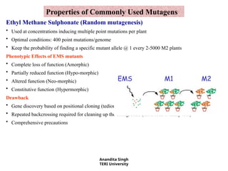 Comprehensive Overview of Mutant Analysis in Functional Genomics and ...