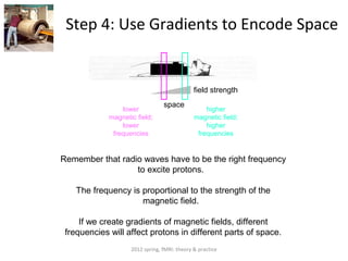 Step 4: Use Gradients to Encode Space


                                              field strength
                                 space
                 lower                            higher
             magnetic field;                  magnetic field;
                 lower                            higher
              frequencies                      frequencies


Remember that radio waves have to be the right frequency
                  to excite protons.

    The frequency is proportional to the strength of the
                     magnetic field.

     If we create gradients of magnetic fields, different
 frequencies will affect protons in different parts of space.
                    2012 spring, fMRI: theory & practice
 
