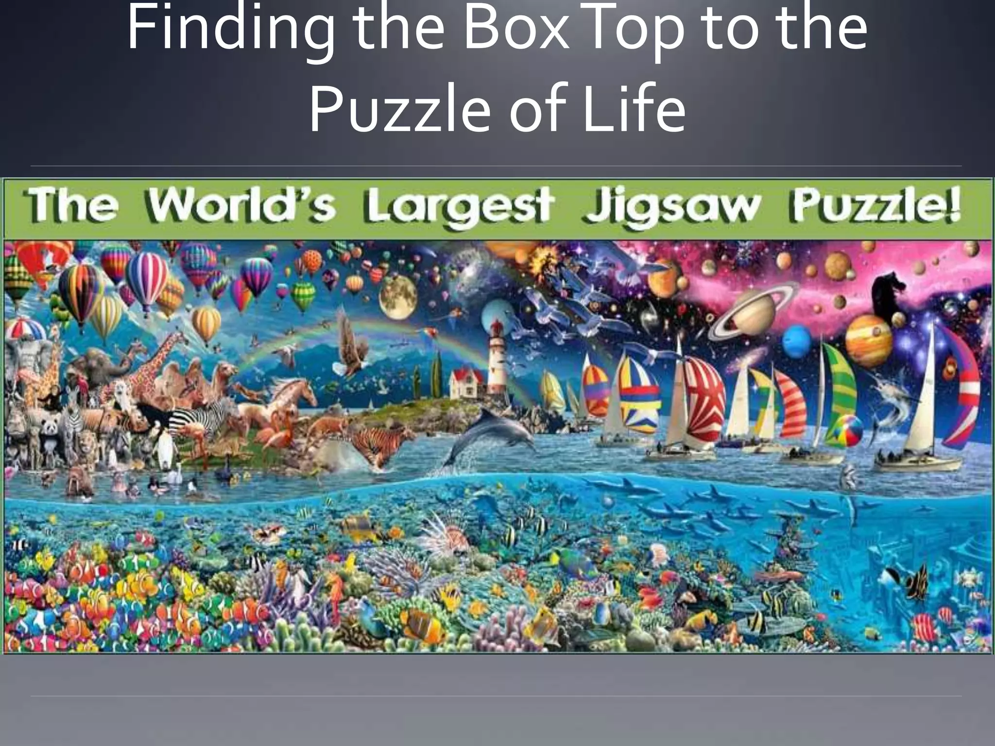 Finding the BoxTop to the
Puzzle of Life
 