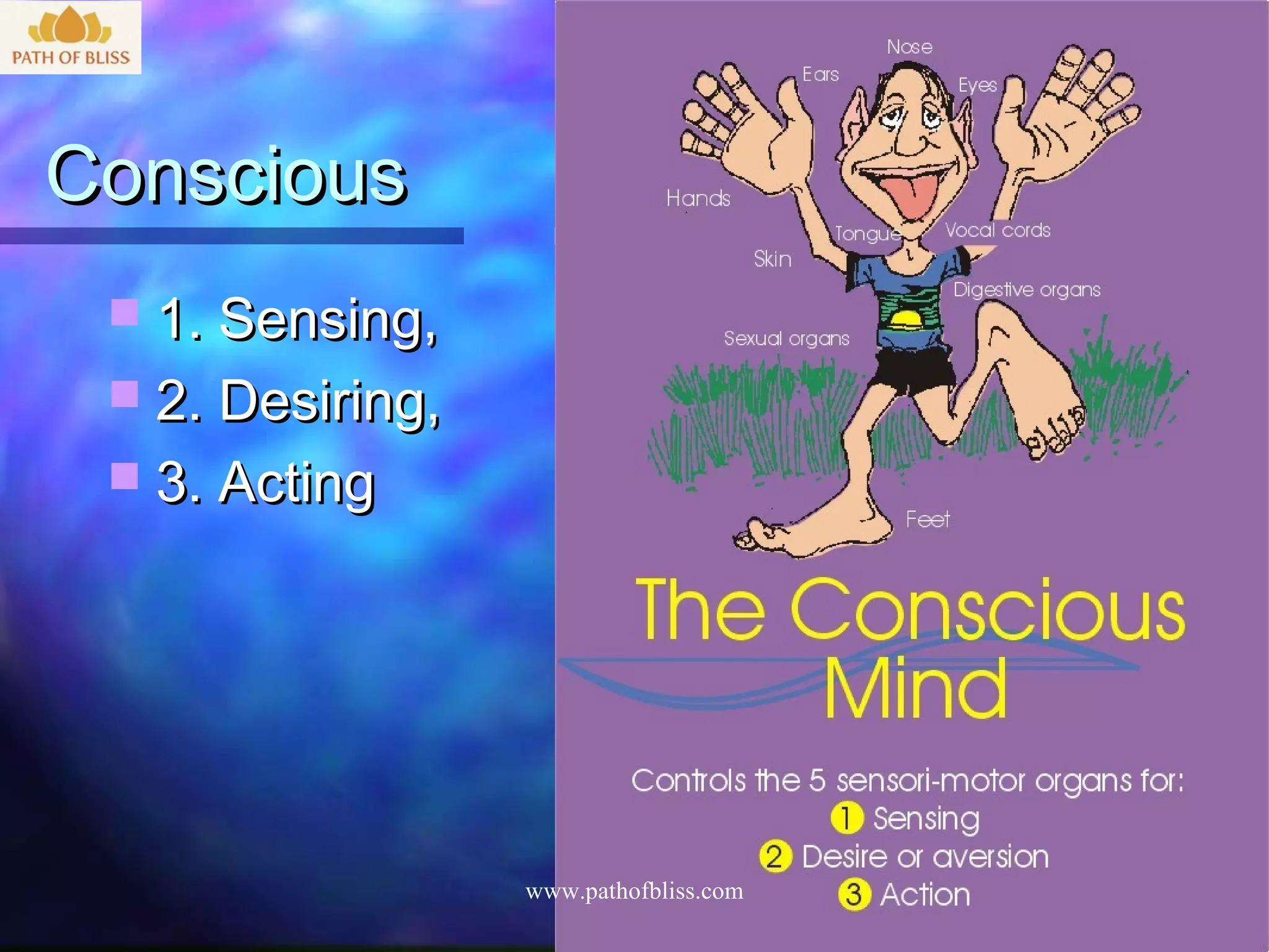 Conscious
  1. Sensing,
  2. Desiring,
  3. Acting




                  www.pathofbliss.com
 