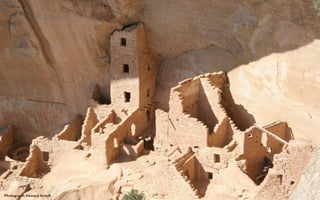 Photograph: Howard Arno
 